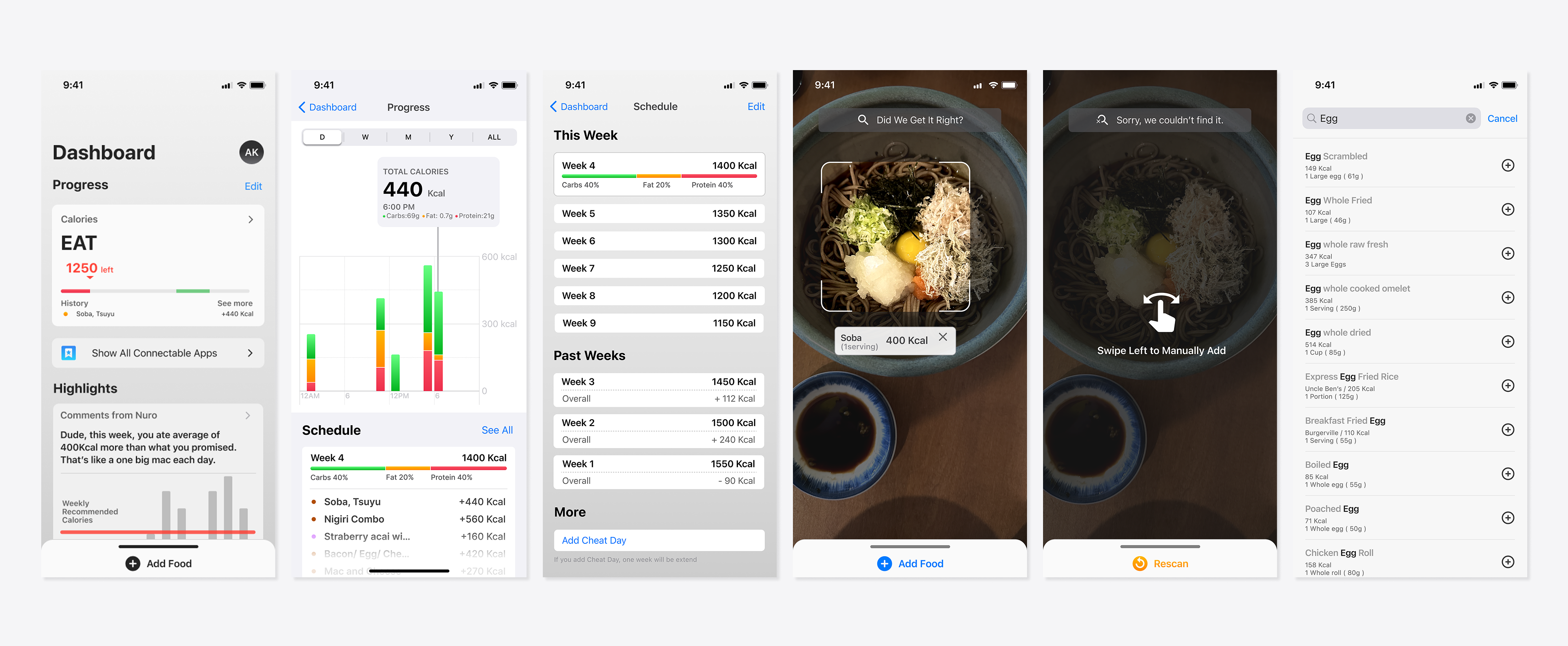 Nutrition MVP and information structure — original design artifact 1